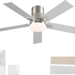 Ceiling fan